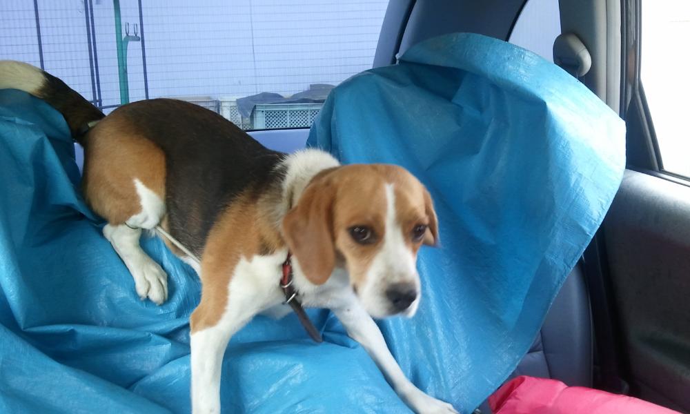 2011-08-15 07.21.20.jpg